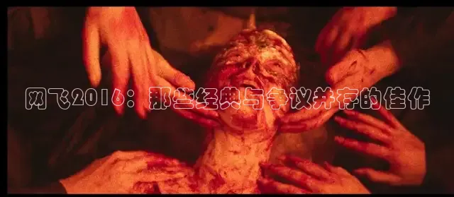 网飞2016：那些经典与争议并存的佳作