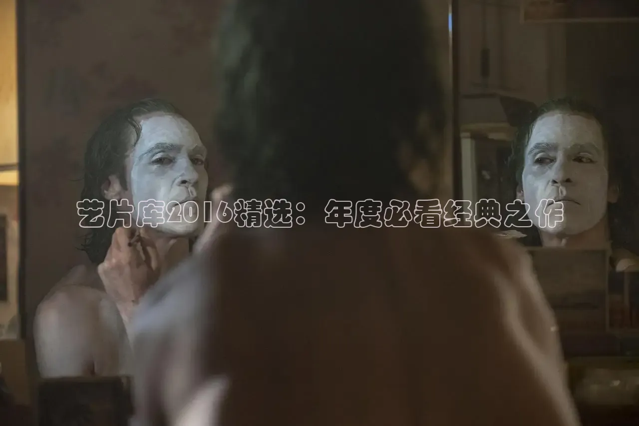 艺片库2016精选：年度必看经典之作
